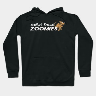 Zoomies! Hoodie